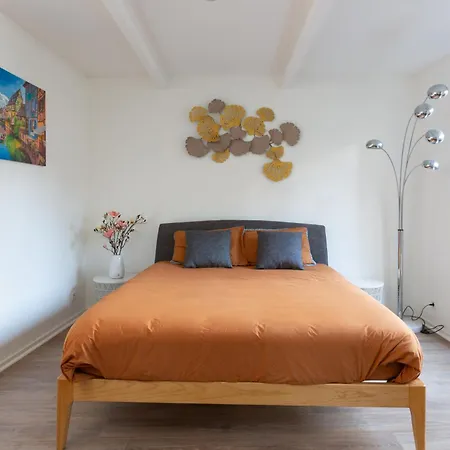 Apartment La Maison De Maitre - Centre Historique - 3 Rue Henriette Mulhouse