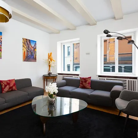 La Maison De Maitre - Centre Historique - 3 Rue Henriette * Mulhouse